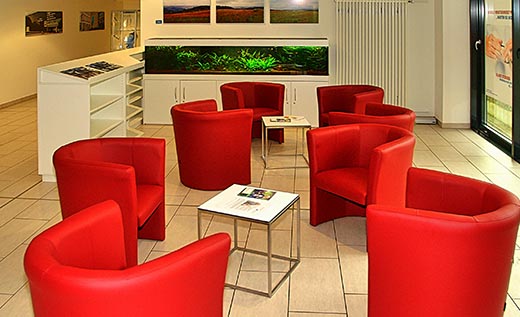 Freundeskreis verschönert Besucherbereich des Gerresheimer Krankenhauses Freundeskreis verschönert Besucherbereich des Gerresheimer Krankenhauses